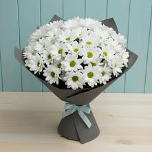 Букет цветов из:  Хризантемы #REPLACE_PRED# Заолешенке