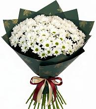 Букет цветов из:  Хризантемы #REPLACE_PRED# Заолешенке