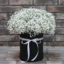Цветочная композиция из Гипсофила в шляпной коробке в Заолешенке